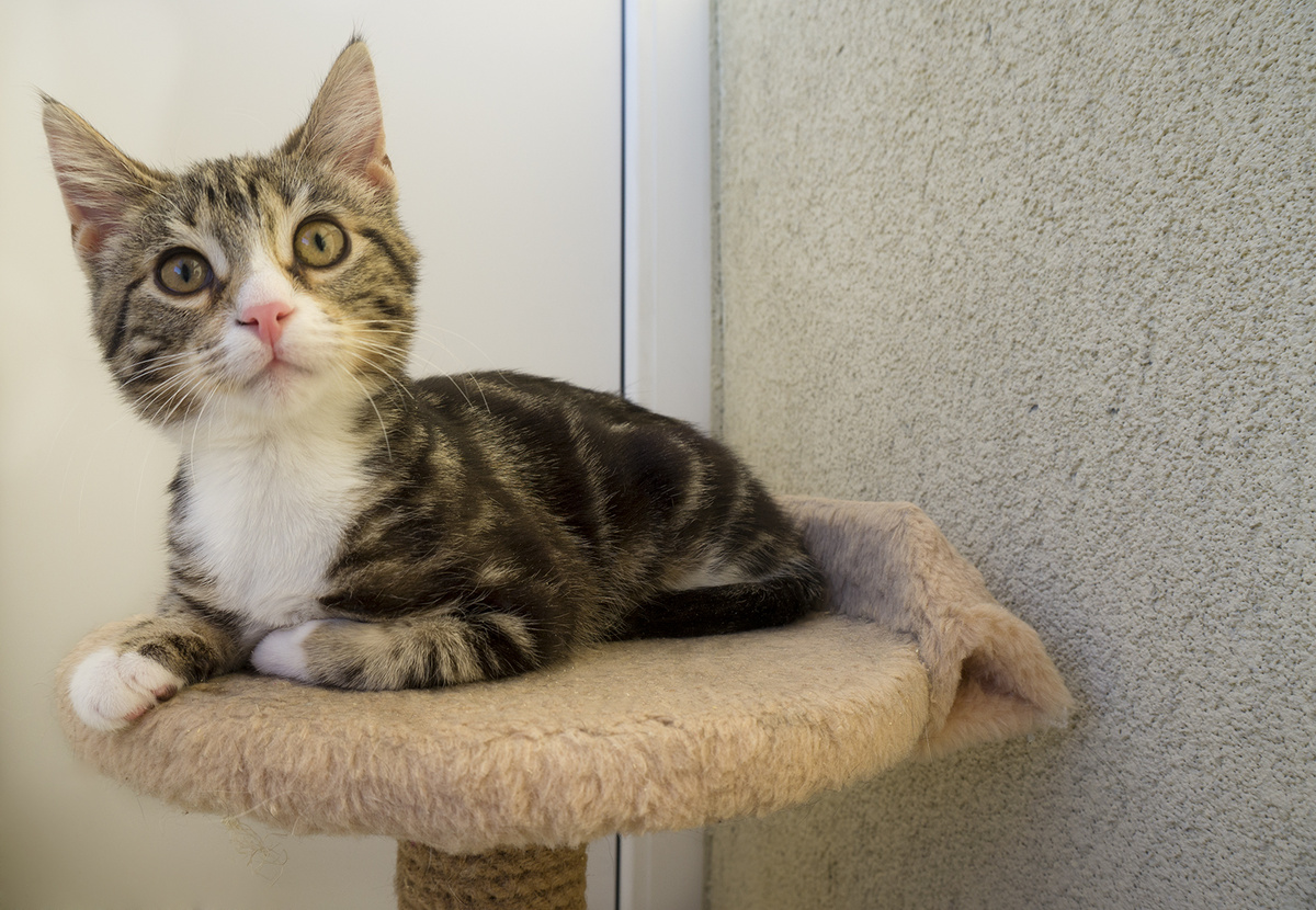 Фотография автора