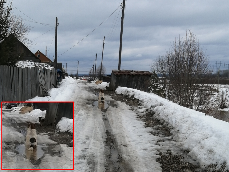 Есть еще собаки, кто любит сесть прямо в лужу?