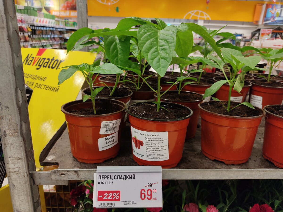 Листайте фото по стрелочкам>>>>>>