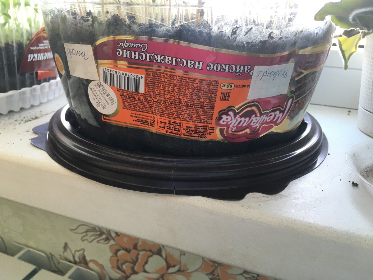 Мои подписи томатов