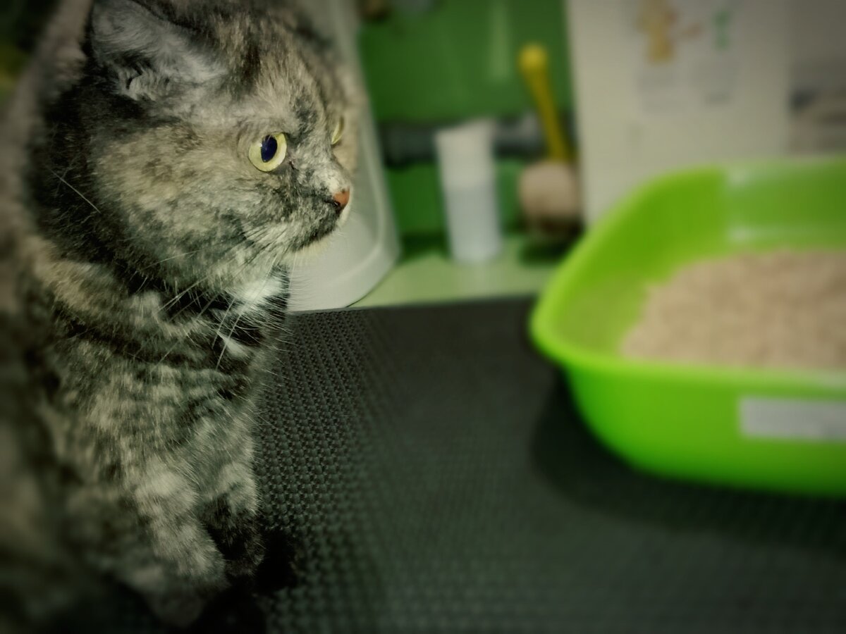 Идёт что ли? Готовность номер один