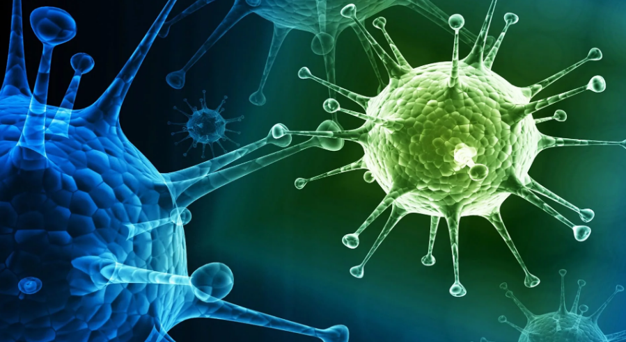 Фото Яндекс-картинки