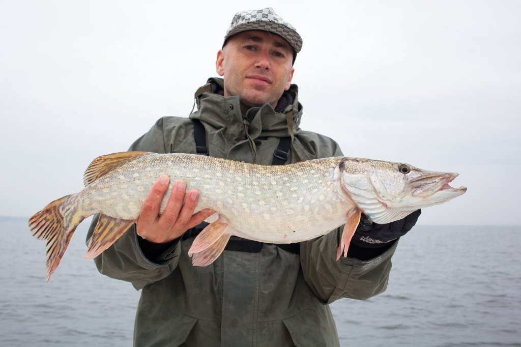 Шапки для зимней рыбалки: виды, фирмы-производители, отзывы