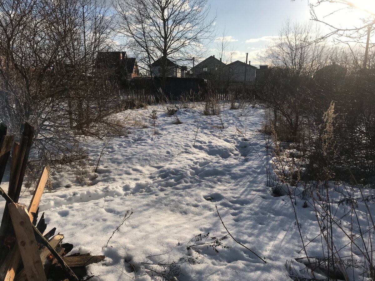 Вот так выглядит мой участок :)