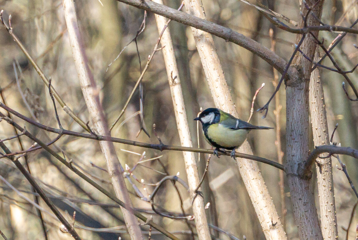 Все фото и видео из семейного архива