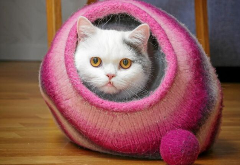 Домик-кокон для кошки спицами. Источник фото: https://www.land.se/fixat/sticka-och-tova-klart-katten-ska-bo-i-egen-kula/