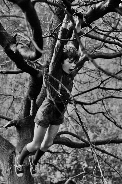 Фото из свободного источника