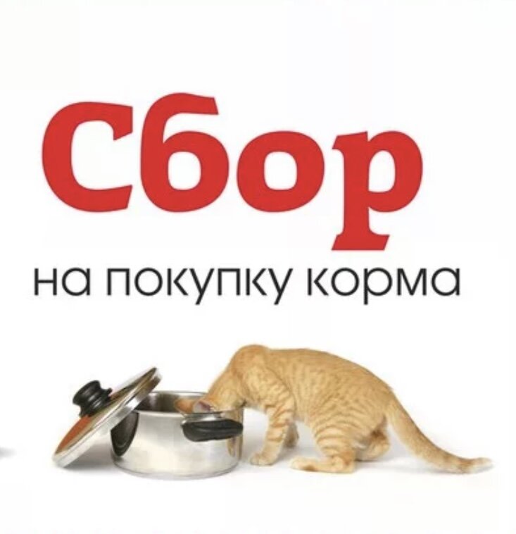 Сбор на корм картинки