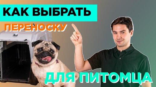 Как выбрать переноску для питомца.