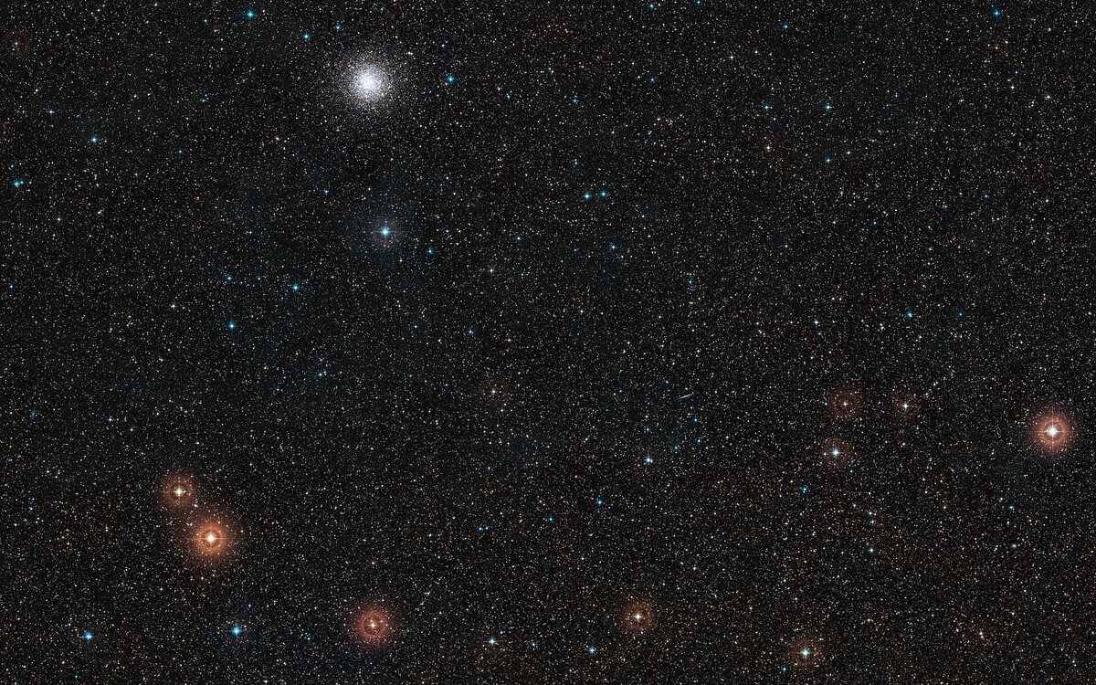 Область вокруг звезды Gliese 1132, созвездие Парусов. Источник: ESA/Hubble, Digitized Sky Survey 2, Davide De Martin