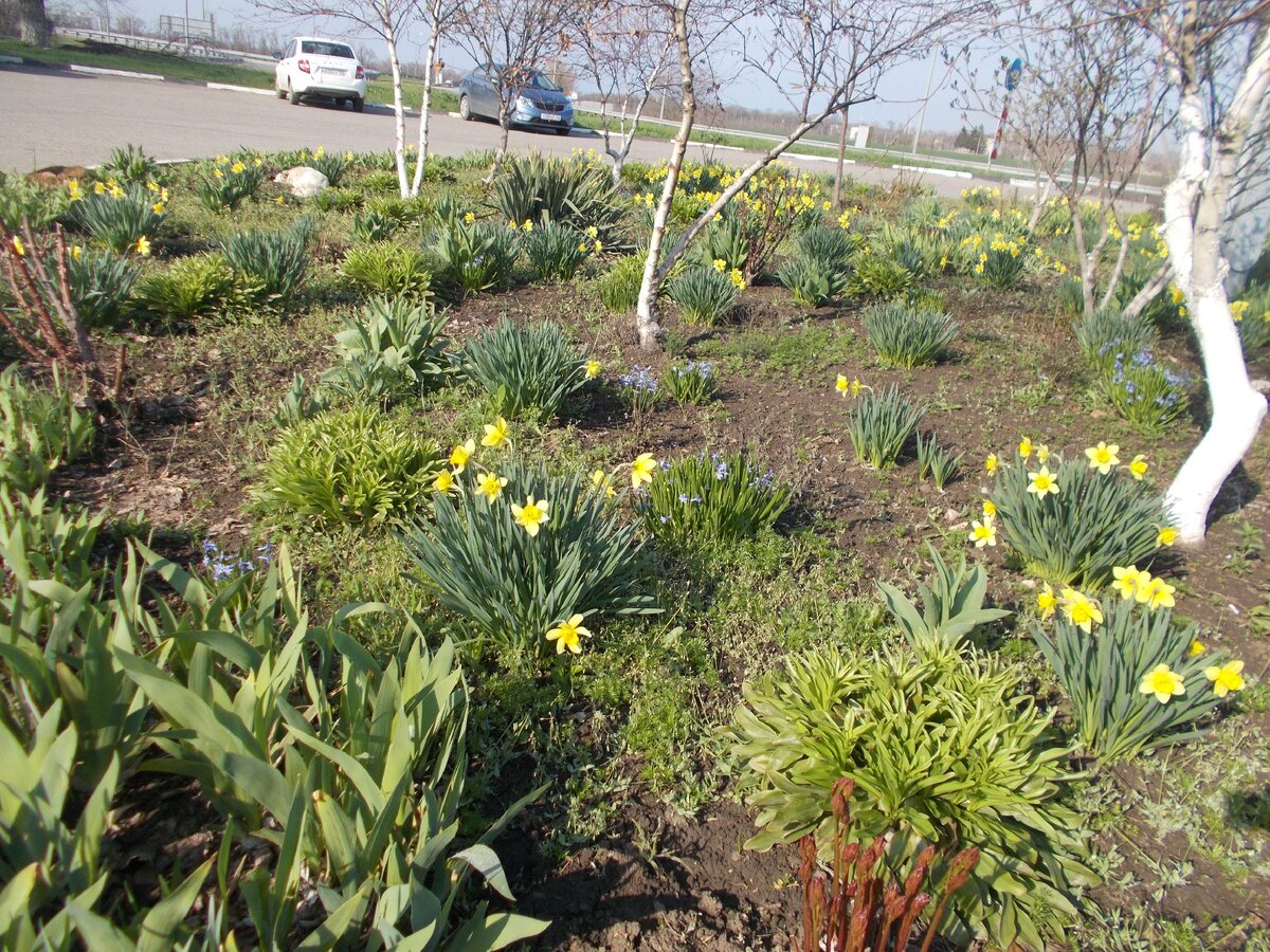 Это автостанция Павловская в прошлую пятницу