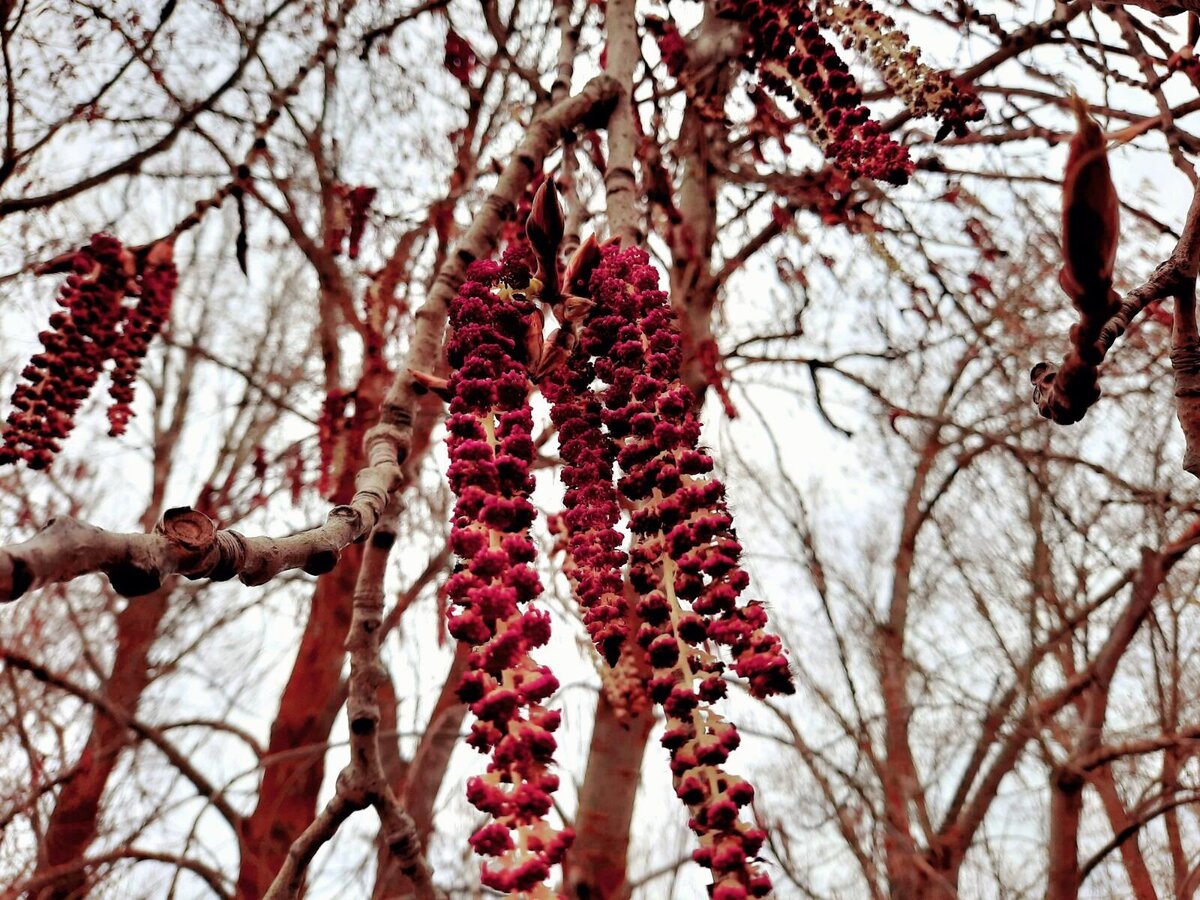 фото  автора