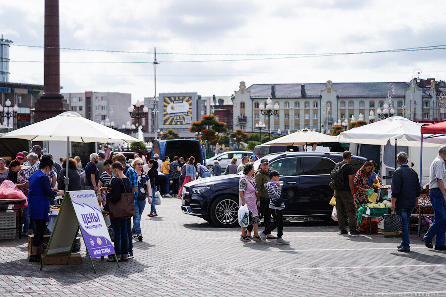 14 августа - первый день работы ярмарки, фото Новый Калининград