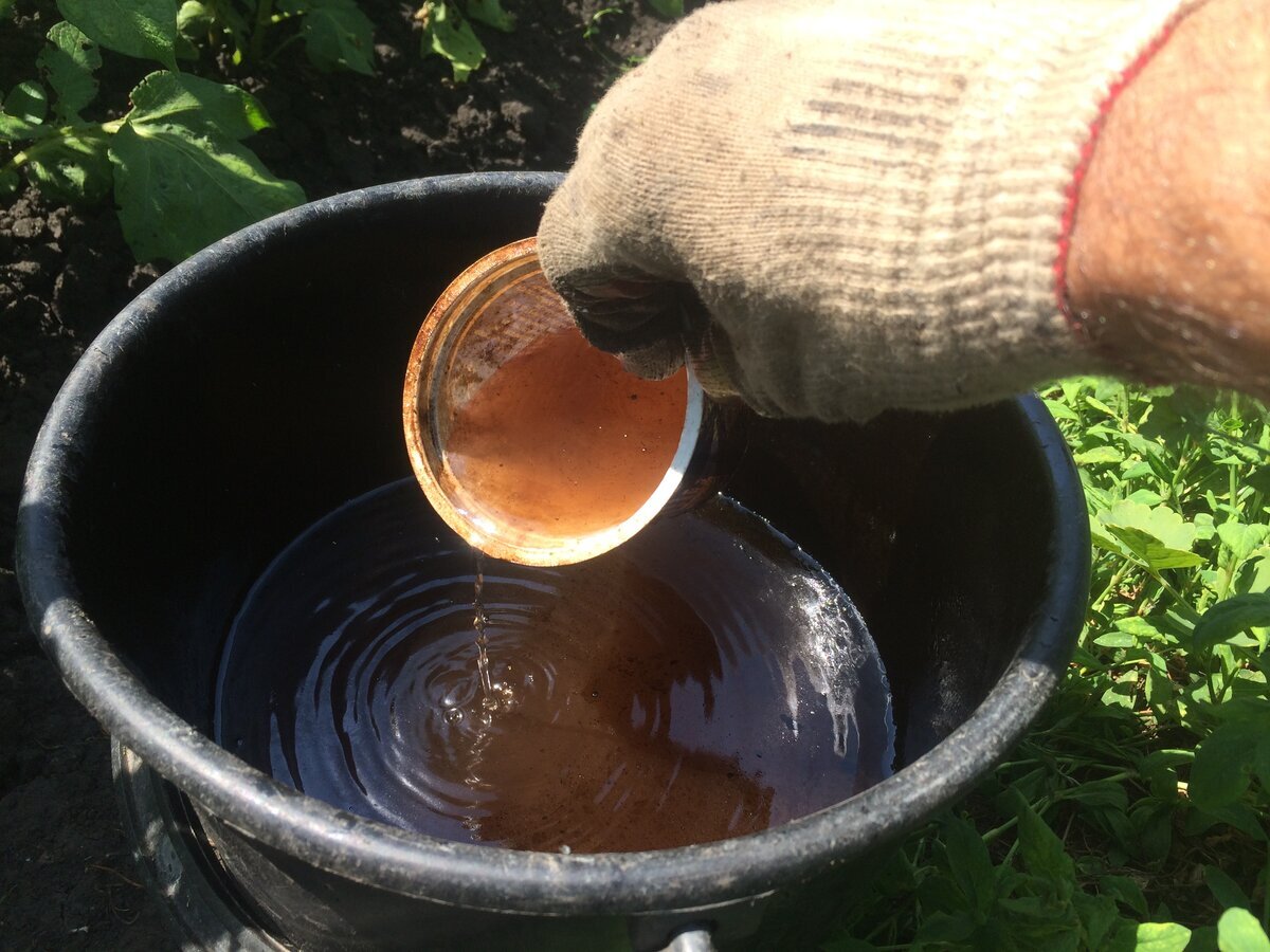 Березовый деготь. Берёзовый дёготь фото. Деготь развести в воде. Деготь развести в воде. Березовый деготь.