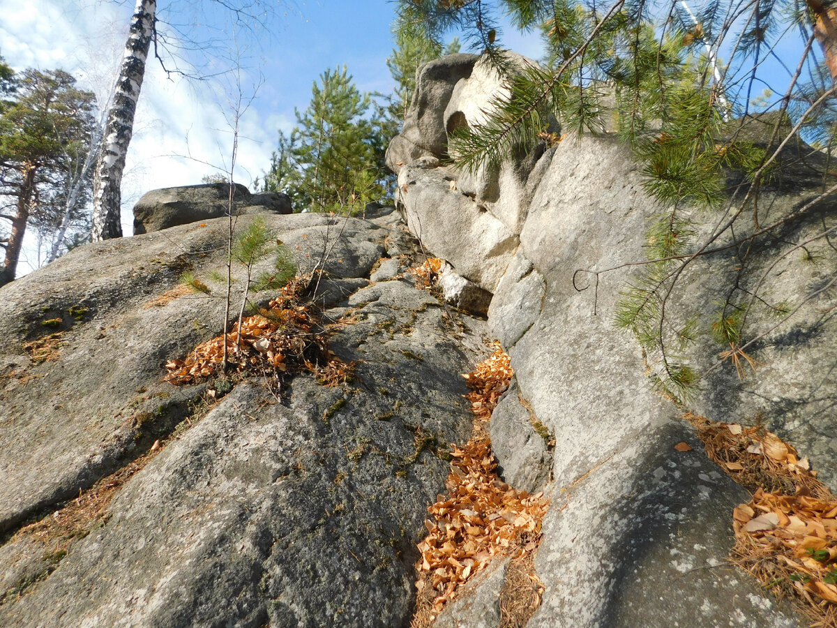 Середина пути на вершину Соколиного камня. Фото автора.