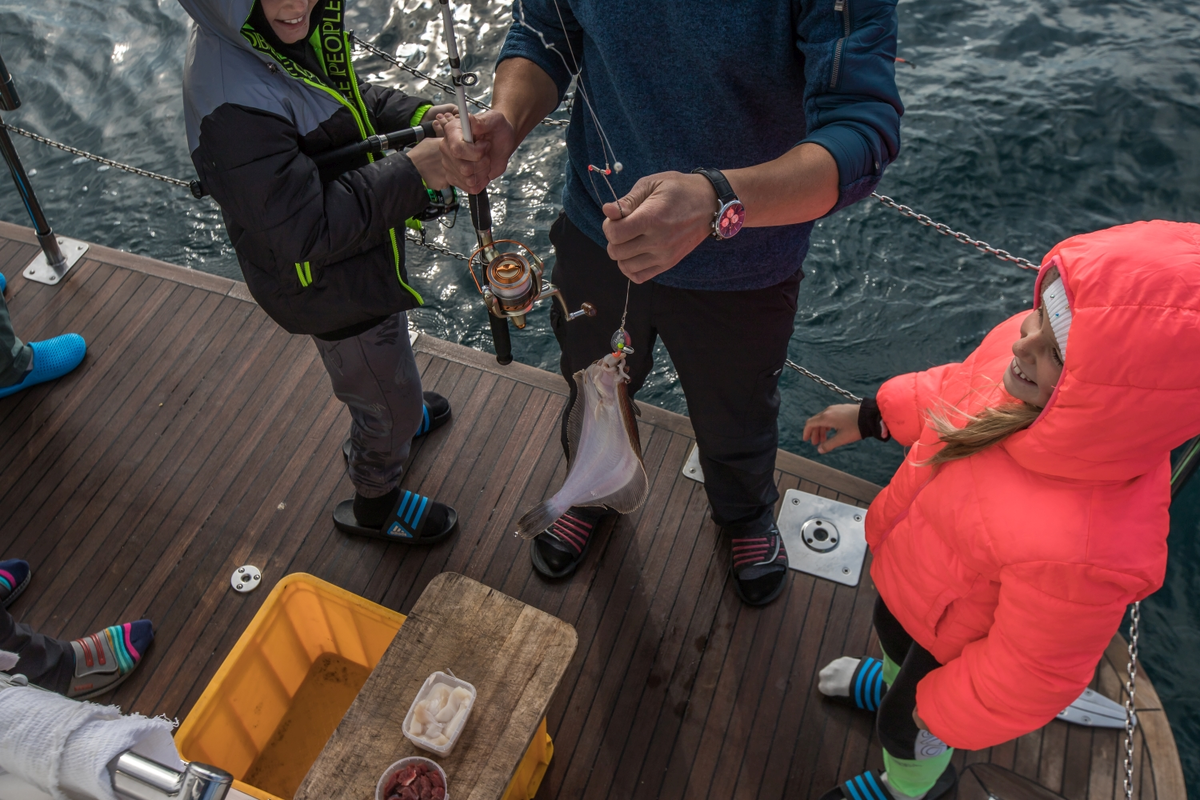 Что можно поймать на удочку в Тихом океане. Показываю улов за час ...