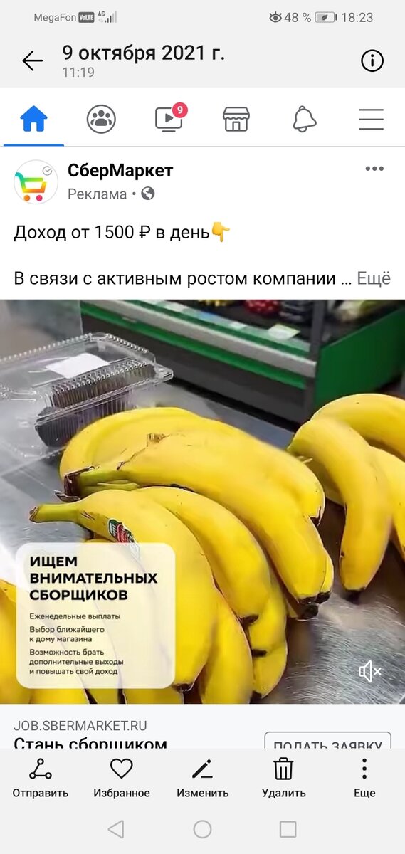 Скриншот из соцсети, фото автора