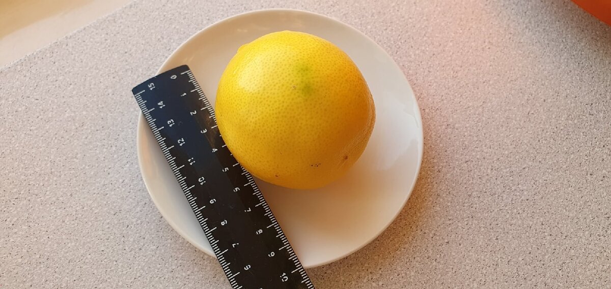 Фото Лужецкой Натальи сорванный плод нашего  лимона  с линейкой 1 ноября 2021 года