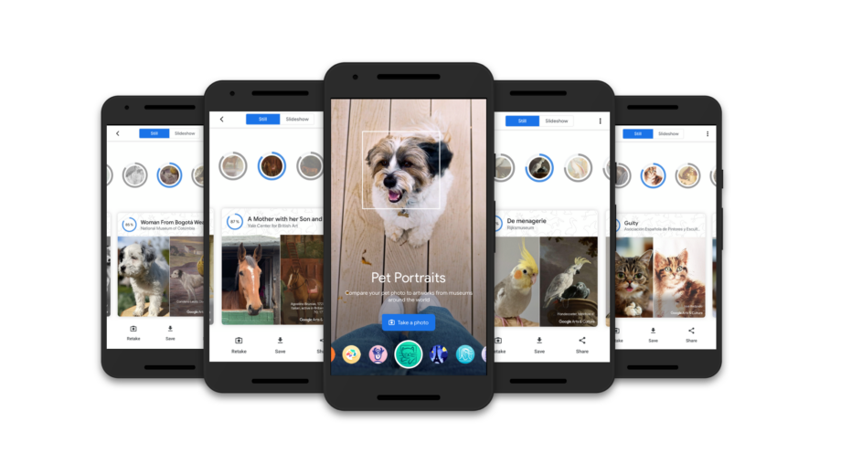 Функция Pet Portraits. Источник: Google Arts & Culture