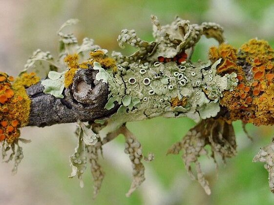 Фото: pinterest.ru