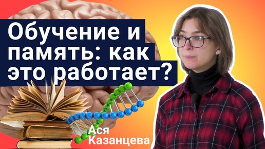 Стань учёным! | Обучение и память: как это работает? - Ася Казанцева