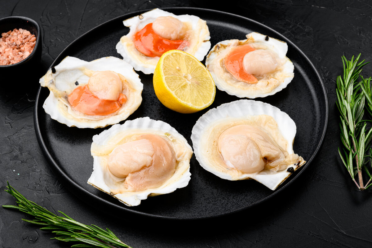 Морские гребешки.