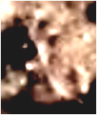   «Знание – сила»    Символ всех статей этого канал создан на мирах пояса  
                                        Ориона
