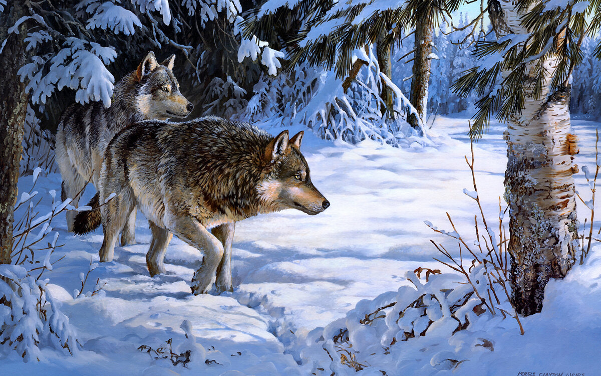 фото с goodfon.ru