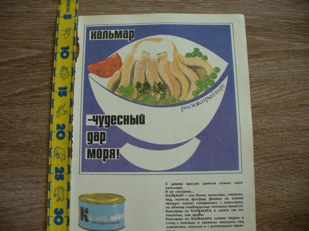 Выдержка из кулинарной книги с изображением блюда кальмара
Изображение взято из https://i08.fotocdn.net/s127/be8fa5e73ef57635/public_pin_l/2885416473.jpg