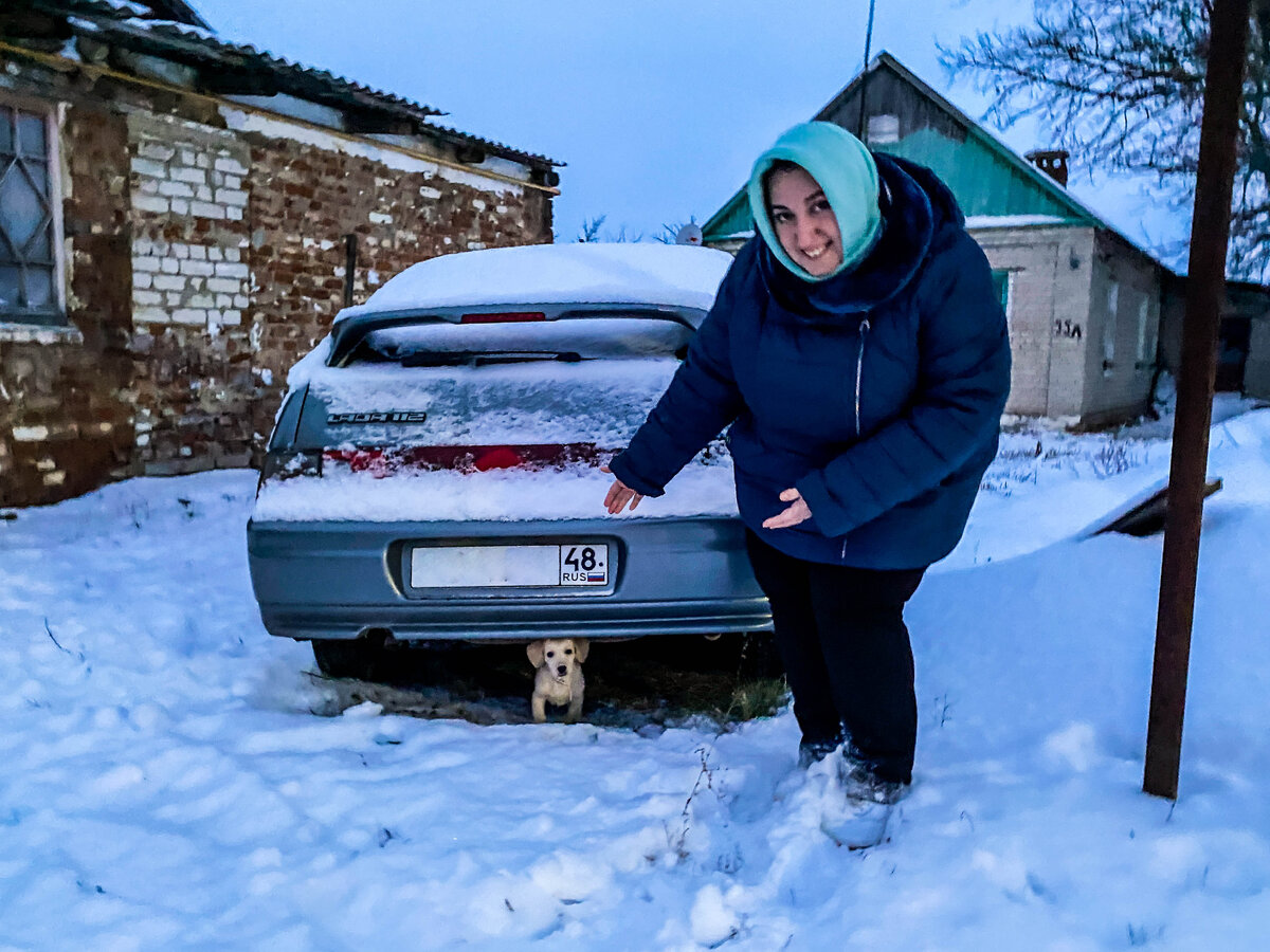 Сестра подобрала на улице маленького щенка. Отогрела, накормила. И теперь у  нее дома живет друг | Прекрасное рядом | Дзен