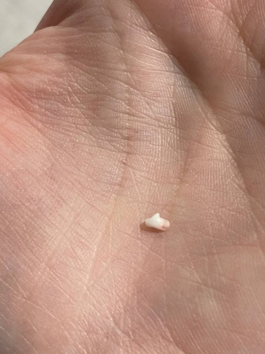 Фото из личного архива