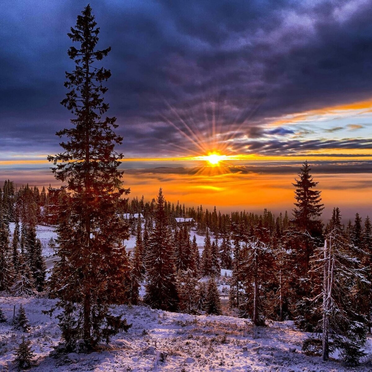 Фото с Сайта Империи Сильнейших Ведьм
