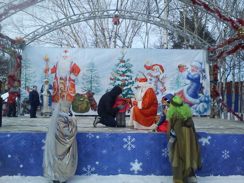 Встреча Нового года в городском парке 
