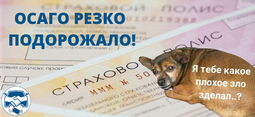 Осаго было стало. Осаго дорожает. Осаго. Осаго. Осаго отменят.