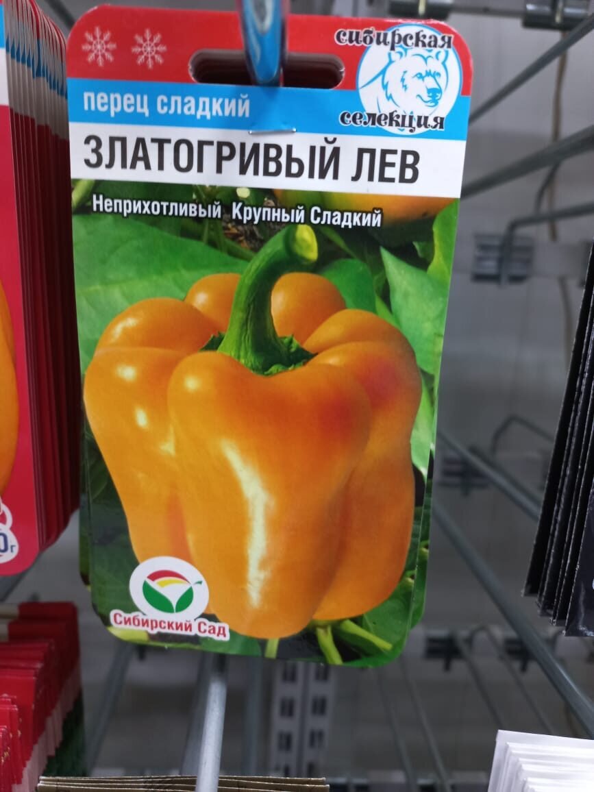 Семена перец сладкий Сладкий шоколад Златогривый лев Сибирский сад 147436905 куп