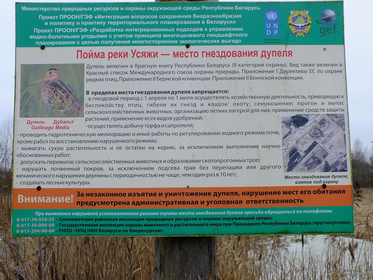 И кто он такой, этот дупель? Интересно...