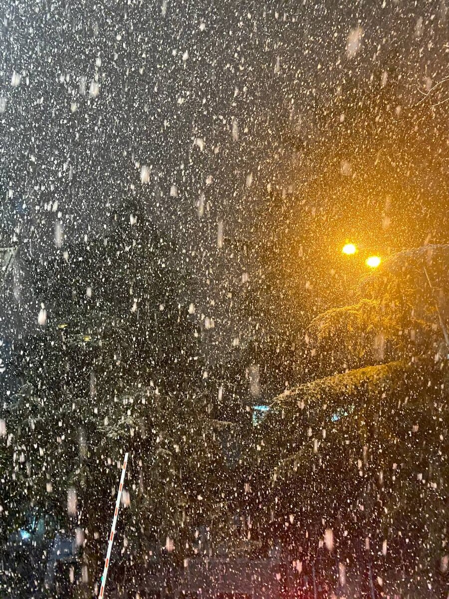 Погода в Сочи в Марте 