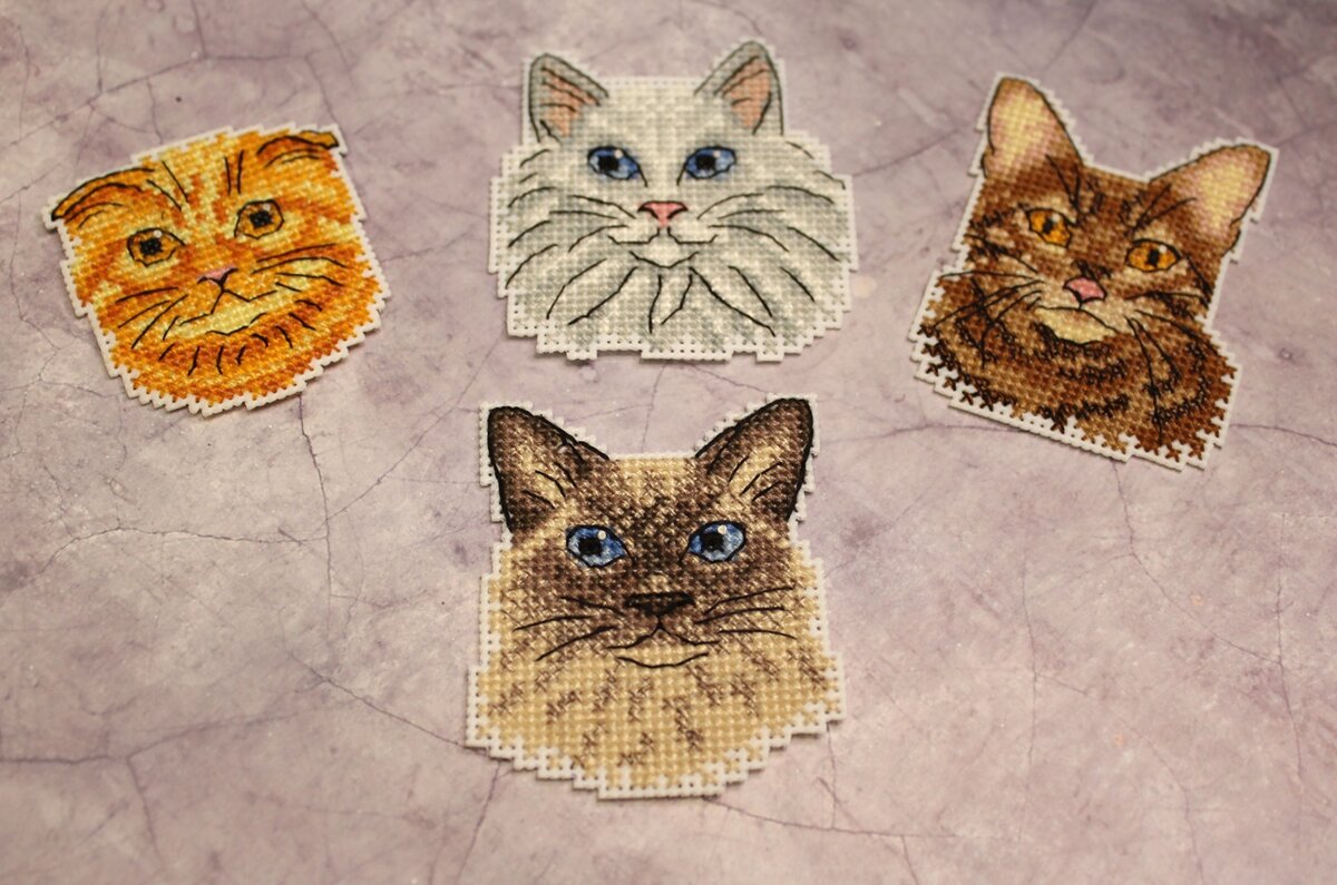 источник картинки - https://vk.com/mpstudia