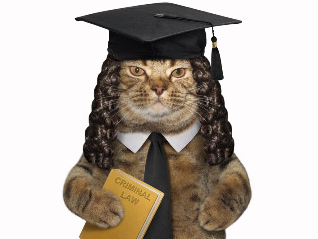 Статья подготовлена специалистами компании «РосКо – Консалтинг и аудит» https://rosco.su/ 