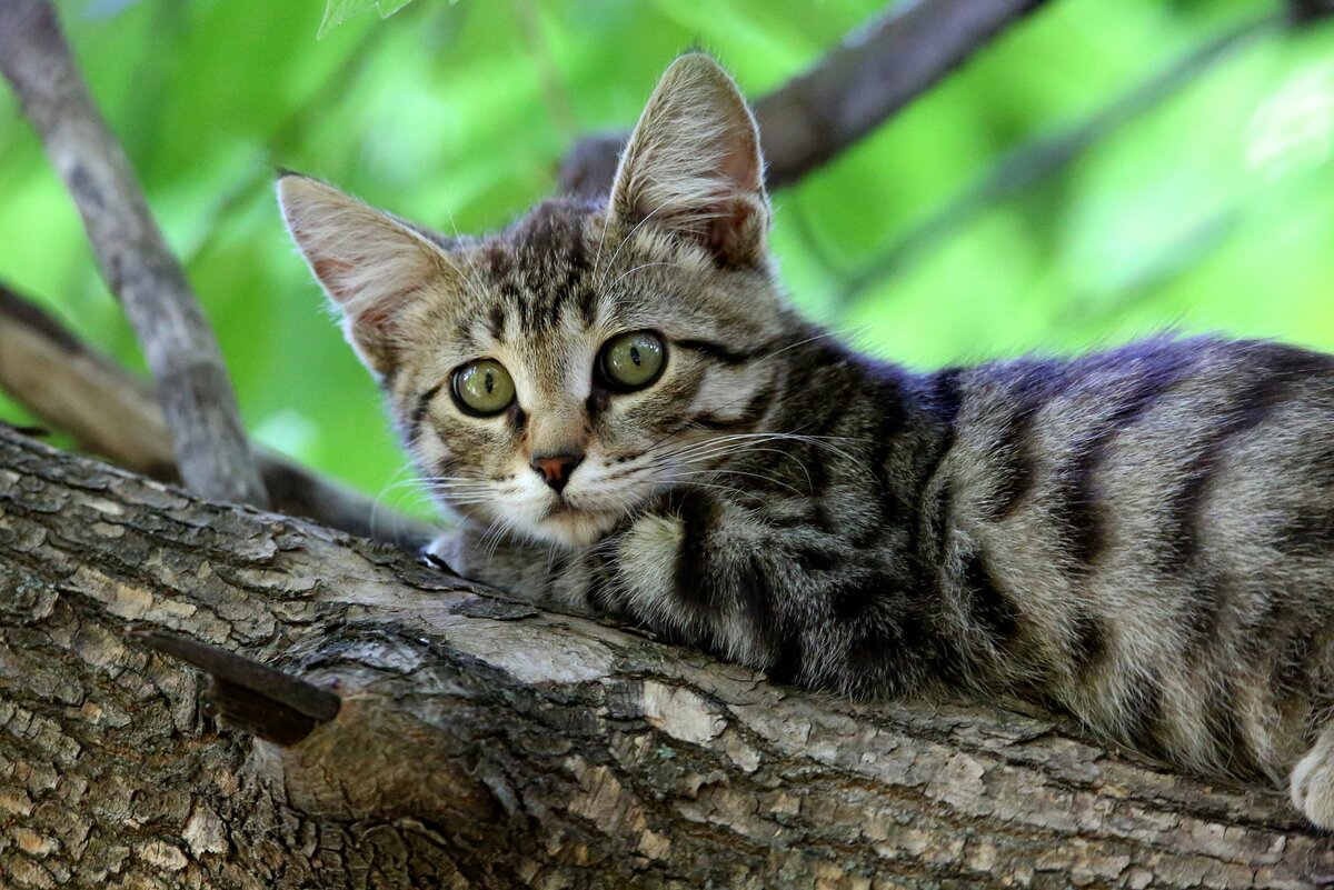 фото из интернета