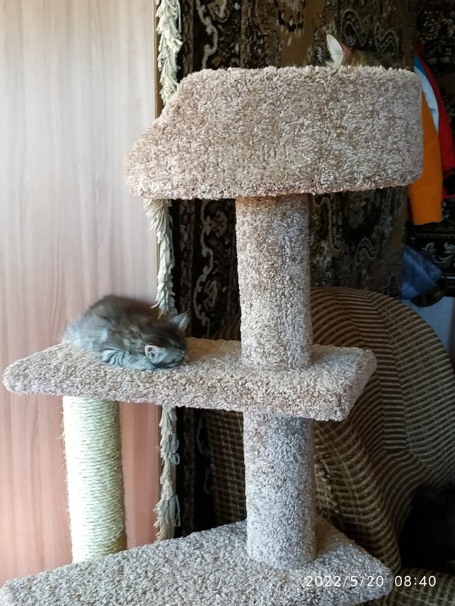 Варька спит. А наверху спит Катюха)