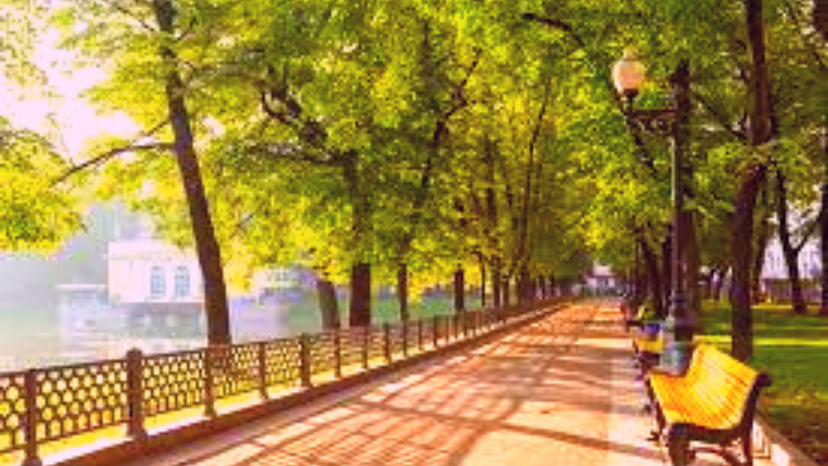 Любимая аллея утром. Смотрите галерею по стрелке справа