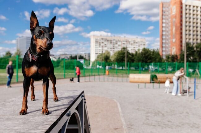 фото из официального сообщества «Комитет по благоустройству Санкт-Петербурга» (ВКонтакте)