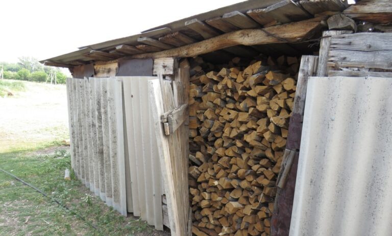    Двое жителей Кувандыкского округа из-за ссоры пытались сжечь сарай своего соседа Кристина Просвиркина