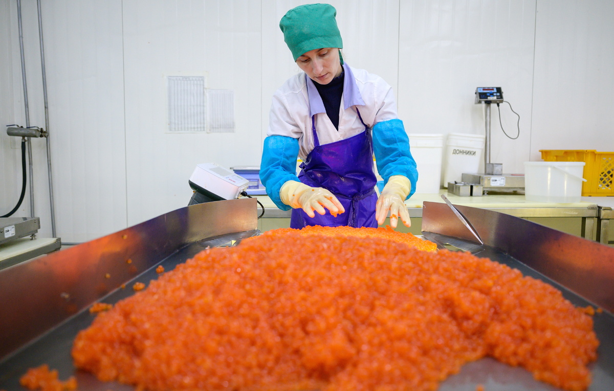 Сергей Красноухов/ТАСС