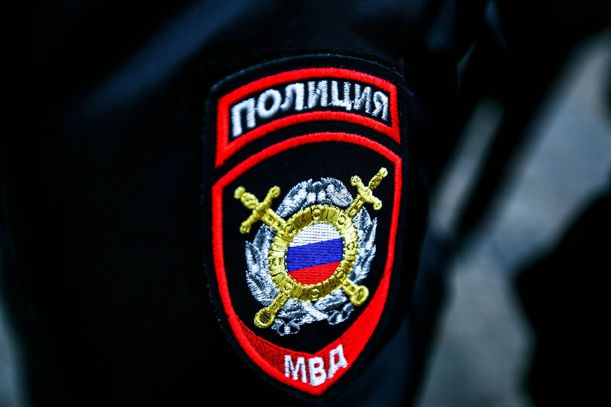 Источник: фото Яндекс -картинки.