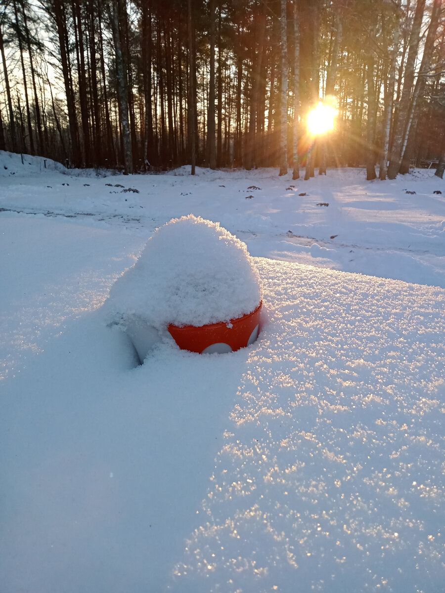 Я стала похожа на этот чайник. Солнышко, лес, снег... Дети позвонили. Муж дрова наколол. И достаточно на сегодня.