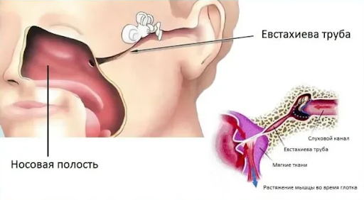 Боли в ЛОР-органах: о чём они говорят
