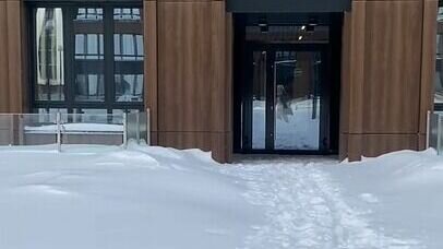     Из-за мощного снегопада жители жилого комплекса бизнес-класса SAVIN HOUSE в Казани в выходные не смогли выбраться из дома. Как управляющие компании справляются со стихией - в материале Inkazan.