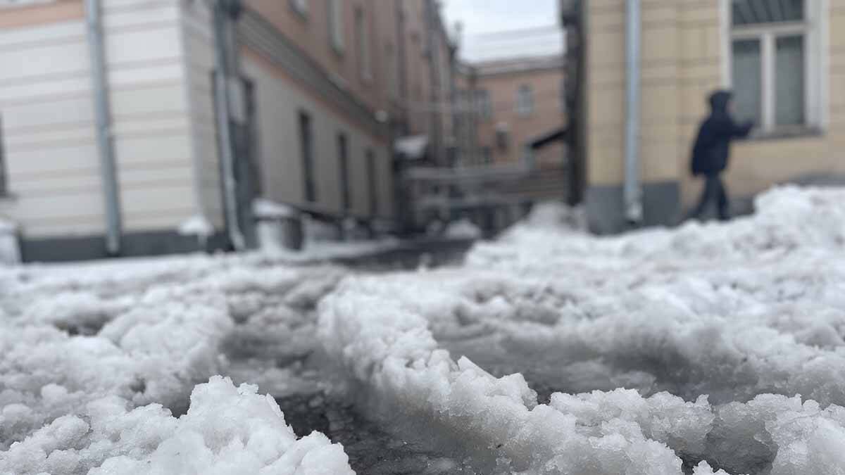    Фото: Вечерняя Москва